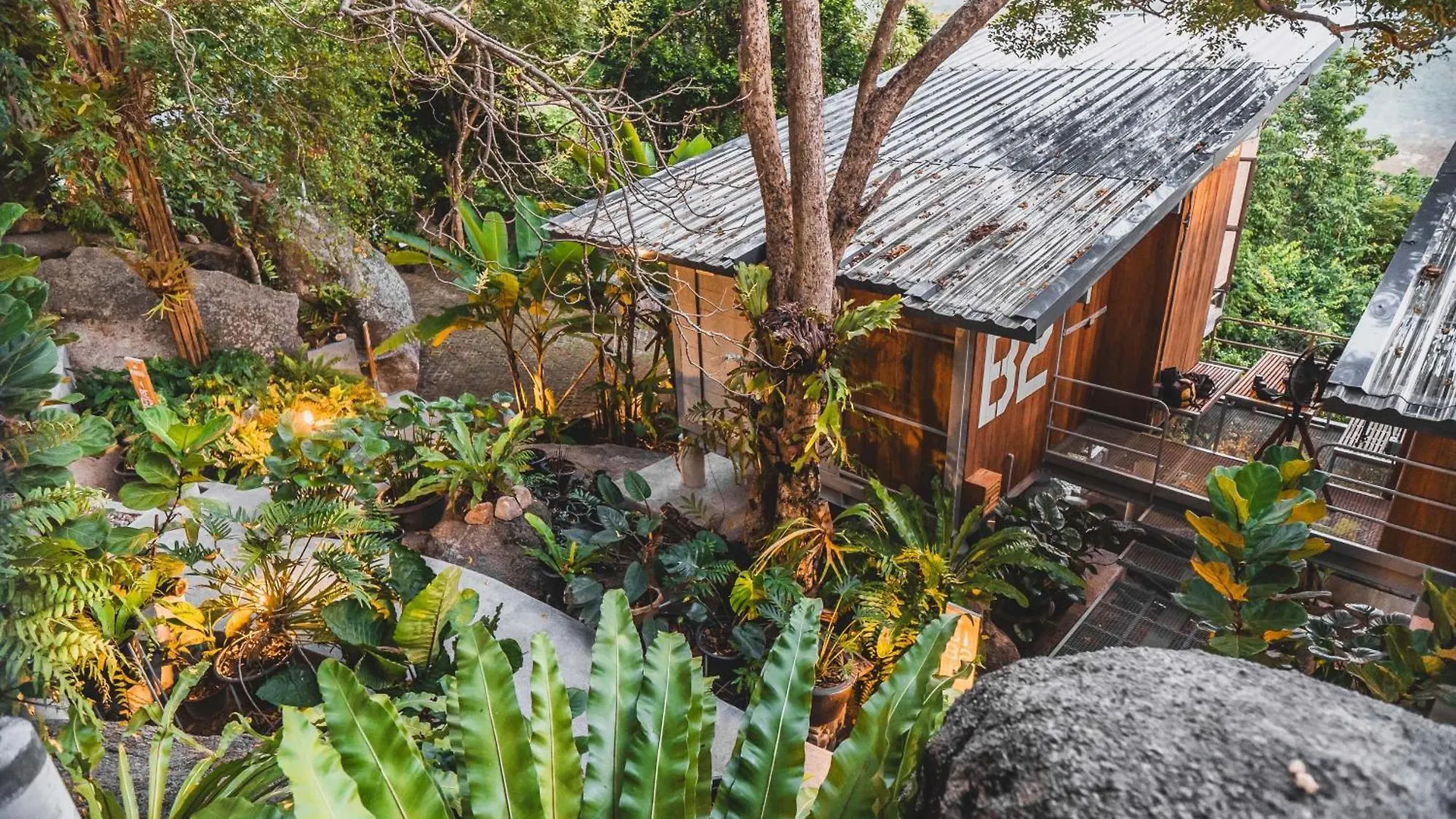 Hotel Shiva Lodge Koh Tao